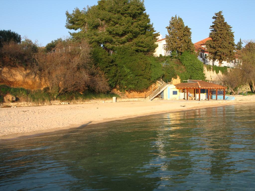 Apartments Villa Agatha Sveti Filip i Jakov Eksteriør bilde